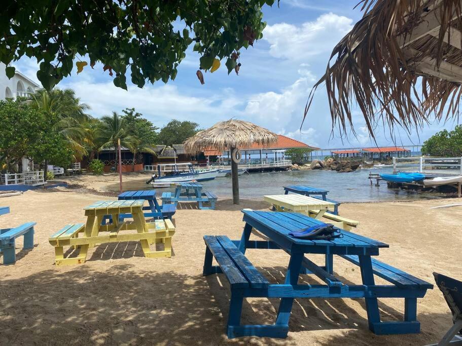 Lush Tropical Apartment Located In A 4-Star Resort Runaway Bay Exteriör bild